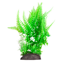 Ecoscape Large Liquorice Fern Green