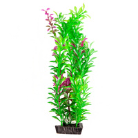 Ecoscape Large Rotala Purple
