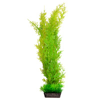 Ecoscape Large Christmas Moss Green