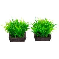 Ecoscape Foreground Hair Grass 2pk Green
