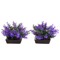 Ecoscape Foreground Catspaw 2pk Purple
