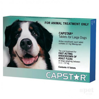 Capstar Large Dog 11-57kg (6 Pack)
