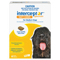Interceptor Medium Dog 11-22kg (6 Pack)