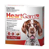 Heartgard Plus Brown Large (6 Pack)