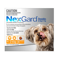 Nexgard XS Dogs 2-4kg (6 Pack)