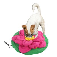 Giant Lotus Snuffle Mat
