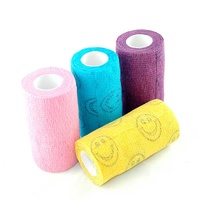 Wrap It Cohesive Pet Bandage