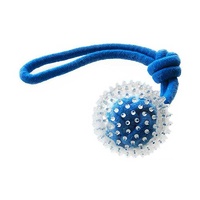 Ruff Tug with Spikey Ball Toy