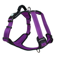 Huskimo Ultimate Harness Large Aurora