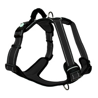 Huskimo Ultimate Harness Large Dark Sky