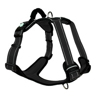 Huskimo Ultimate Harness Small Dark Sky