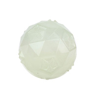 Ruff Play Ruff Glow Dog Toy Ball