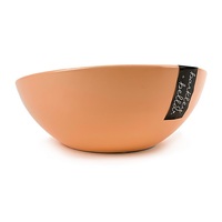 AllPet Ceramic 600ml Peach Ergonomic Dog Bowl 7.8 x 18 x 18cm