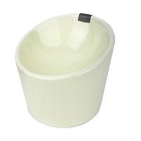 AllPet Ceramic Ivory 170ml Raised Dog Bowl 14.5 x 15 x 15 cm