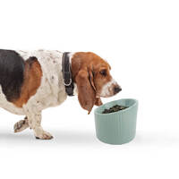 AllPet Ceramic Eucalyptus 170ml Raised Dog Bowl 14.5 x 15 x 15 cm