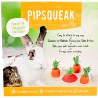 Pipsqueak Small Animal Treat and Veggie Holder