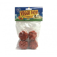 Guinea Pig Chew Mini Pumpkin Nibbler