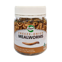 Freeze Dried Mealworms 40g