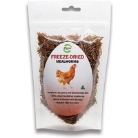 Freeze Dried Mealworms 70g