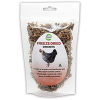 Freeze Dried Crickets 50g