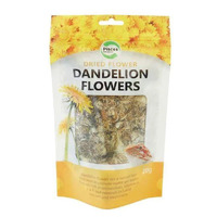 Repti Dried Flower Dandelion 20g