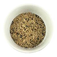 Premium Canary Mix 4kg (2x 2kg Bags)