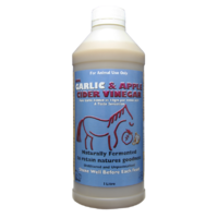 Garlic & Apple Cider Vinegar 1L