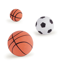 Sports Ball Assorted Medium (each)