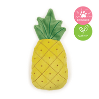 Cat Toy Kazoo Crinkly Pineapple