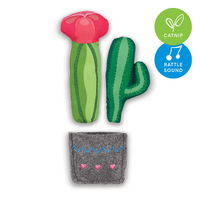 Cat Toy Kazoo Cactus Garden