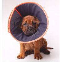 Kazoo Comfy Recovery Collar Xsmall