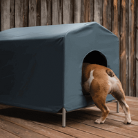 Kazoo Cabana Cappuccino Large Dog Kennel