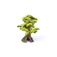Bonsai Plant Small Ornament