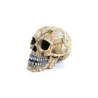 Ornament Skull Large