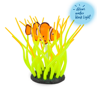 Kazoo Sea Anemone Clown Fish Ornament Small
