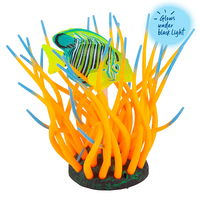 Kazoo Bubbling Sea Anemone Surgeon Fish Ornament Medium