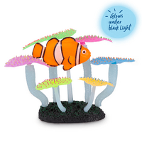 Kazoo Silicone Fluro Anemone With Clown Fish Ornament