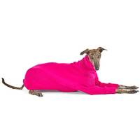 Kazoo Greyhound Jumper Kakadu Medium