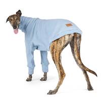 Kazoo Greyhound Jumper Glasshouse Small