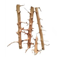 Aqua Premium Natural Driftwood Long Hands Per KG