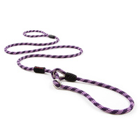 EzyDog Luca Leash 67" Purple