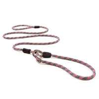 Ezydog Luca Dog Leash 170cm Red