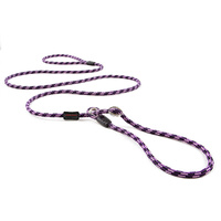 EzyDog Luca Leash Lite 67" Purple