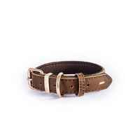 Ezydog  Oxford Brown Dog Collar Small