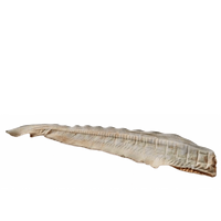 Shark Tail EA Dog Treat