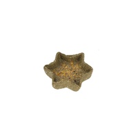 Nature Island Timothy Star Dish