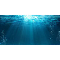 Background Underwater 40 x 60cm