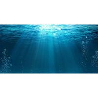 Background Underwater 40 x 60cm