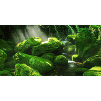 Background Moss Forest 60 x 120cm