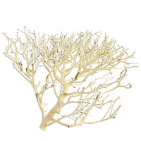 Coral Wood Driftwood Large